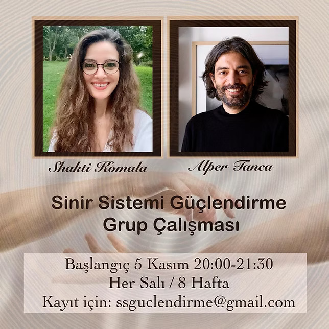 Sinir Sistemi Güçlendirme Grup Çalışması